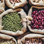 pulses-production