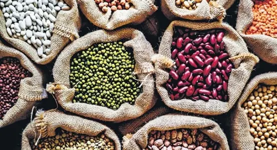 pulses-production