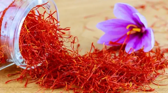 Saffron 